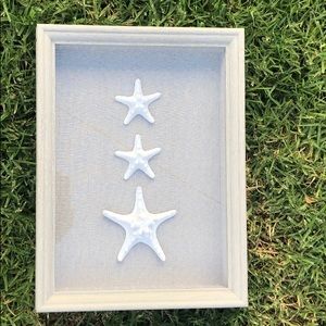 Framed glass with starfish ⭐️